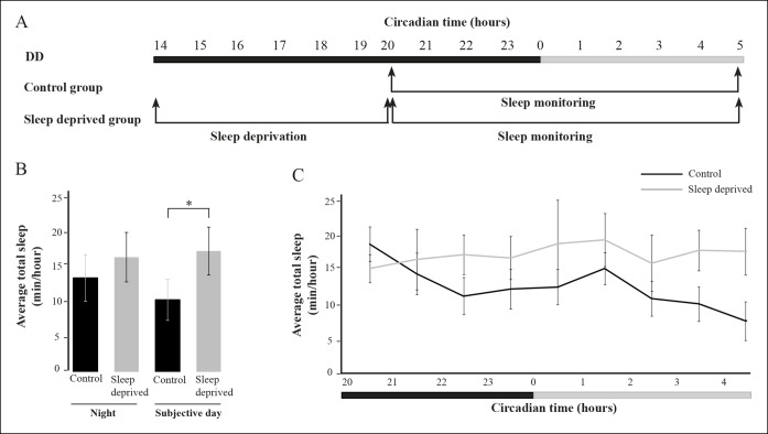 Figure 7—figure supplement 1.