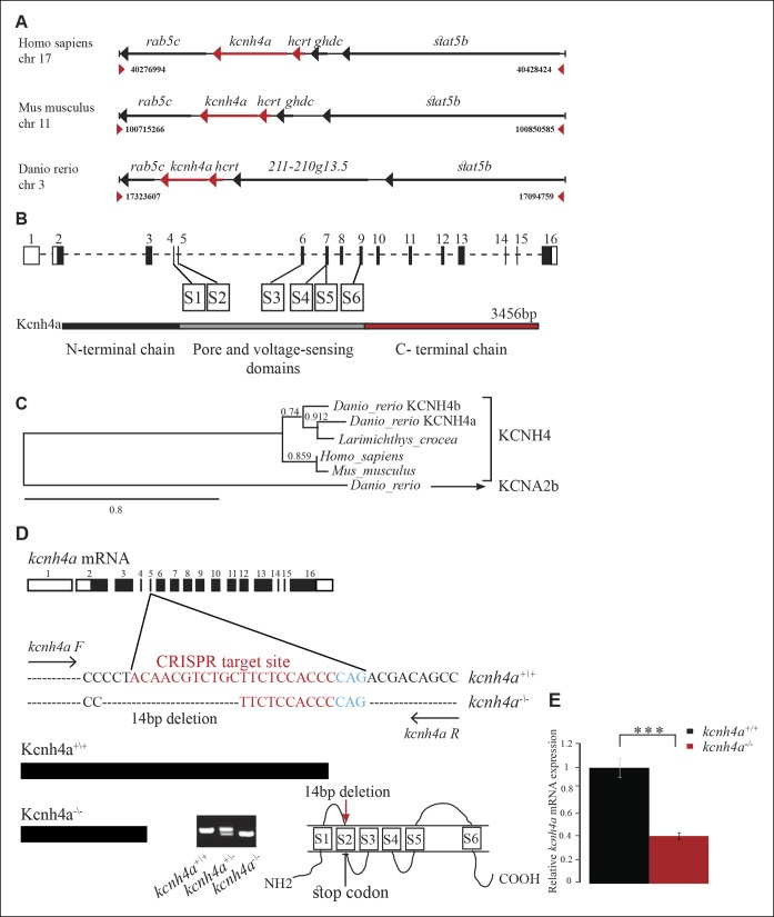 Figure 6.