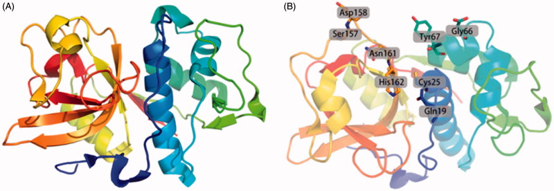 Figure 1.