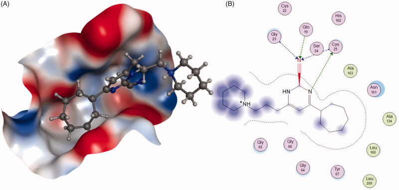 Figure 11.