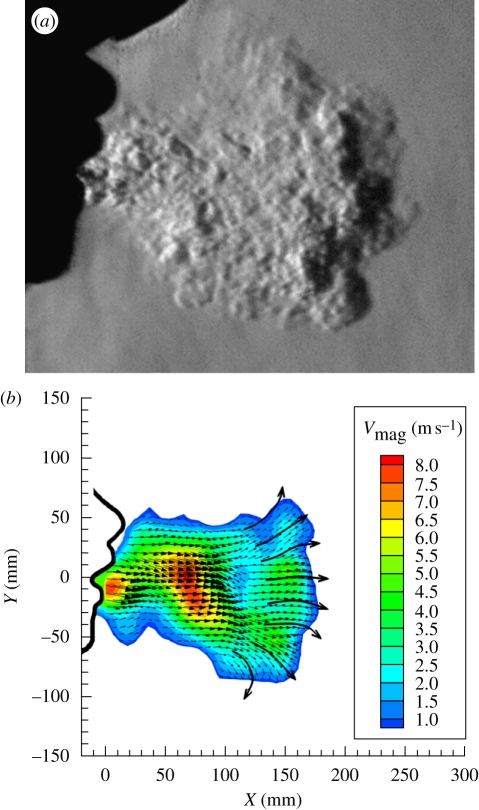 Figure 4.