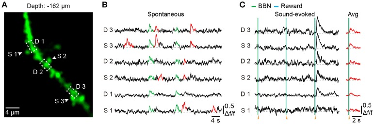 Figure 6