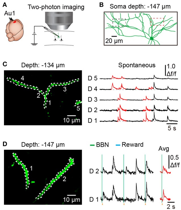 Figure 5