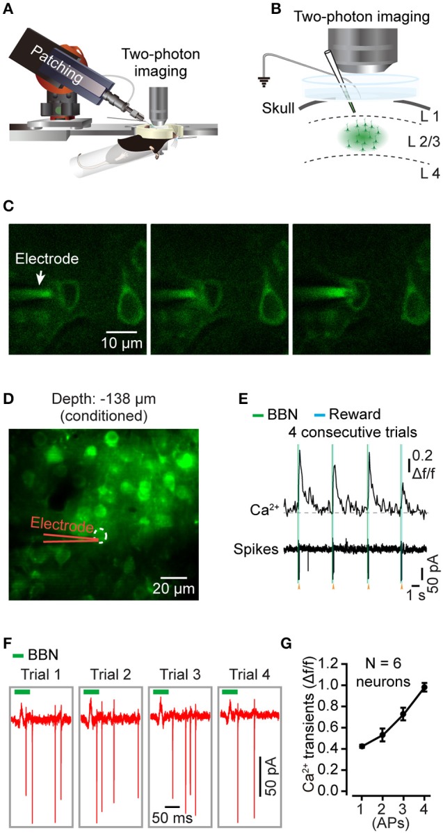 Figure 4