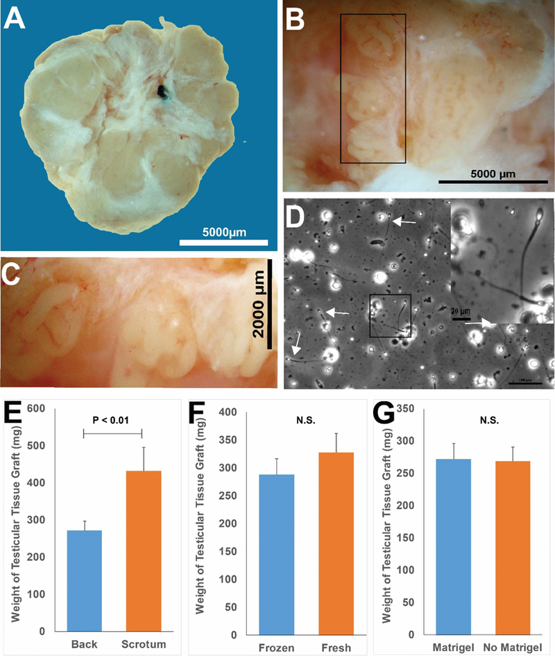 Figure 4: