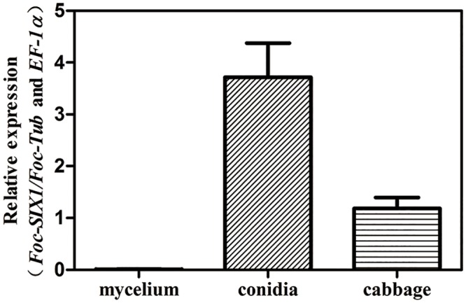 Fig 3