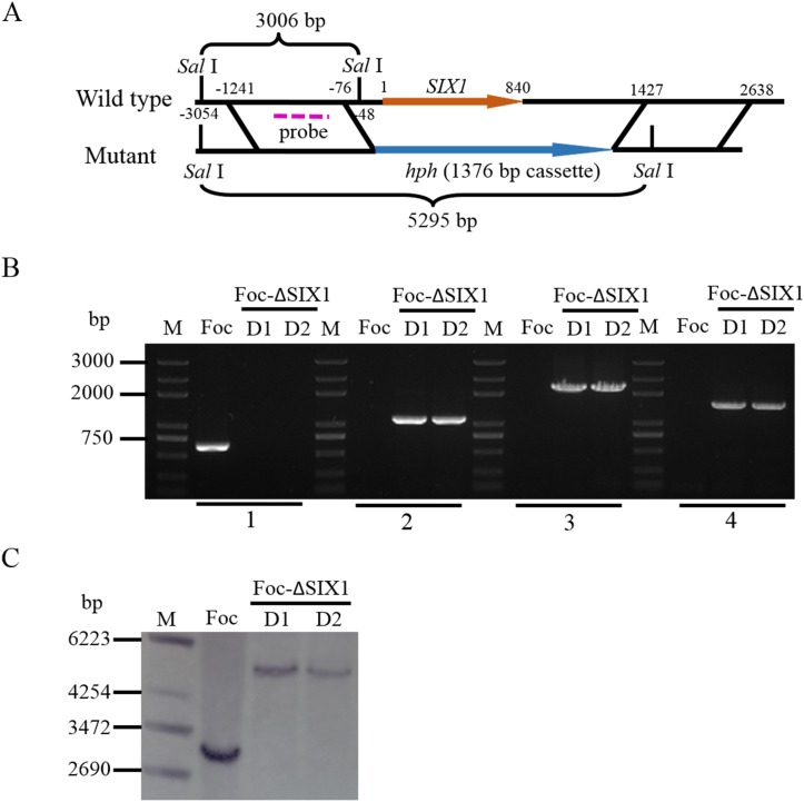 Fig 4