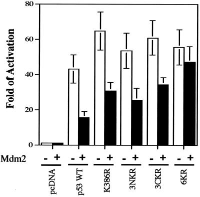 FIG. 8