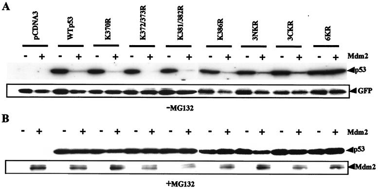 FIG. 4