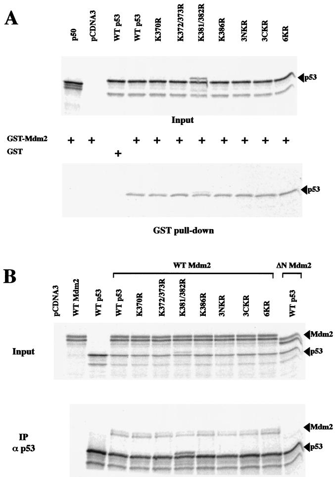 FIG. 5