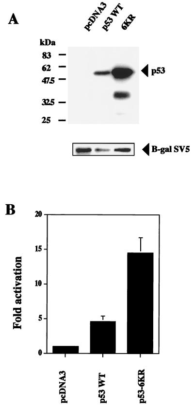 FIG. 7