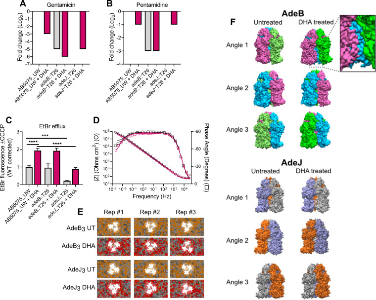 FIG 2