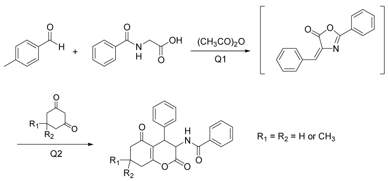 Scheme 8