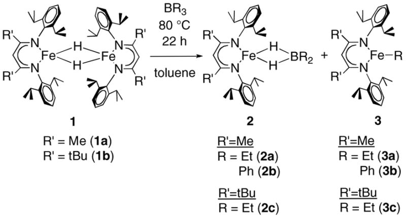 Scheme 3