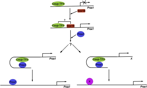 Figure 7.