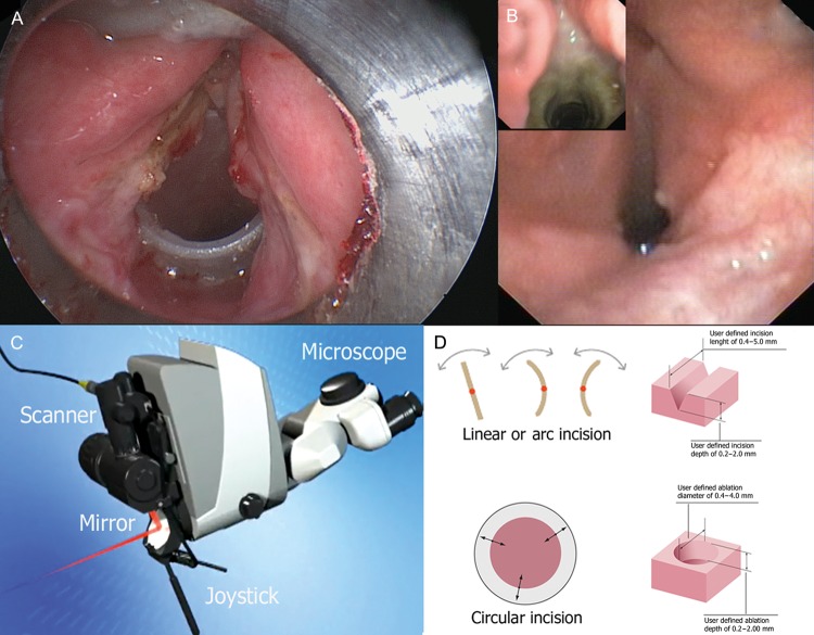 Figure 2: