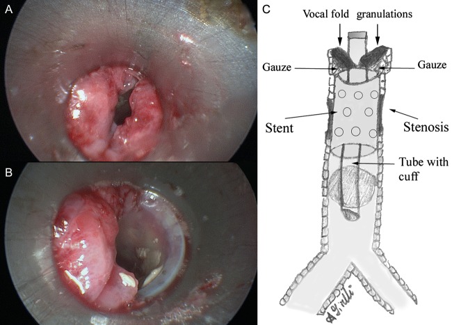 Figure 1: