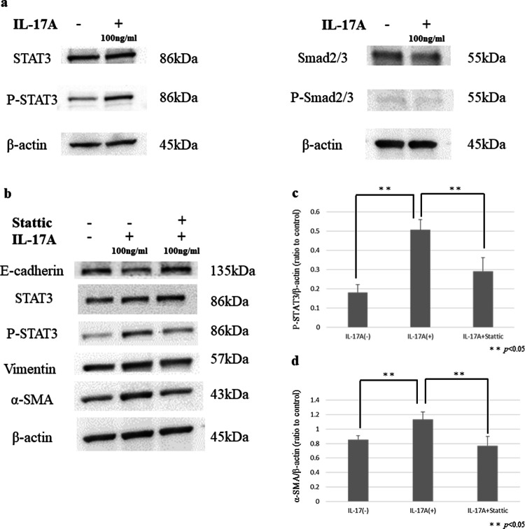 Fig. 11