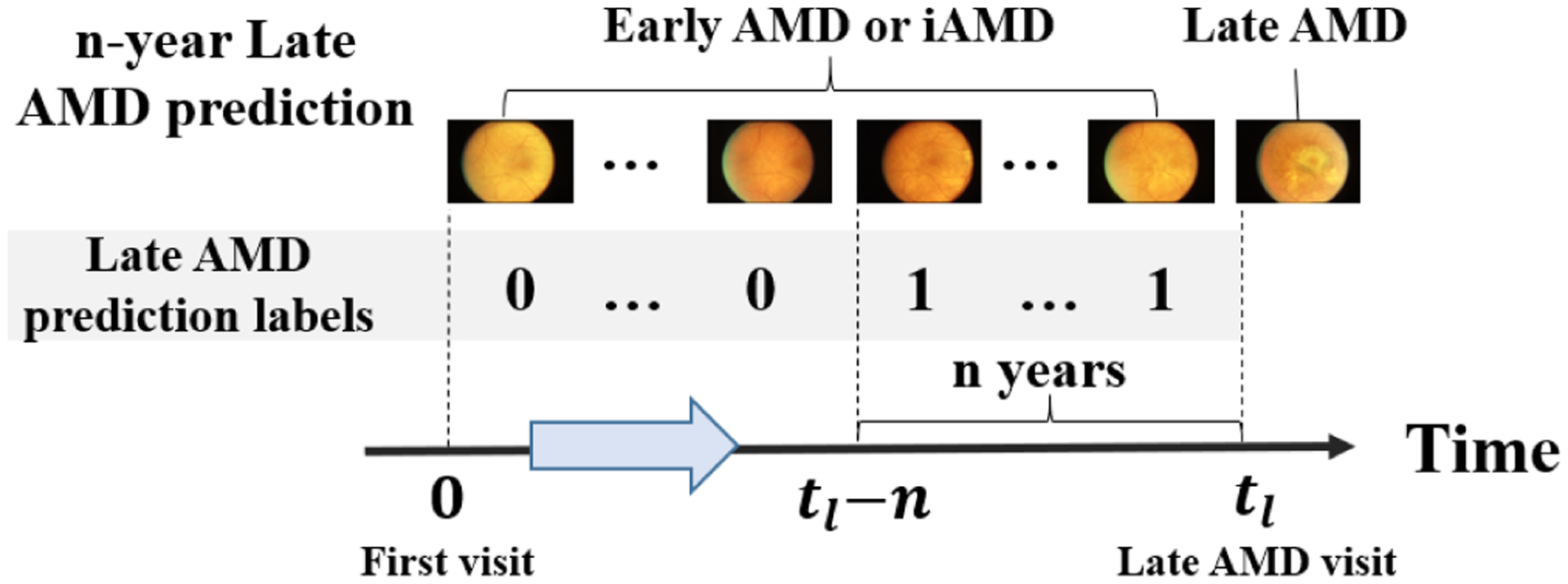 Figure 4: