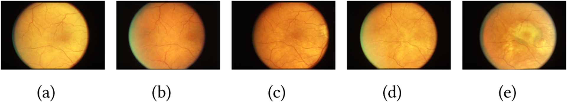 Figure 1: