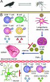 FIG. 2.