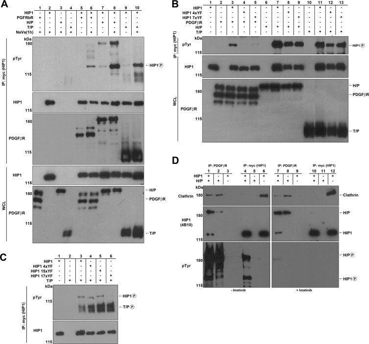 Fig 5