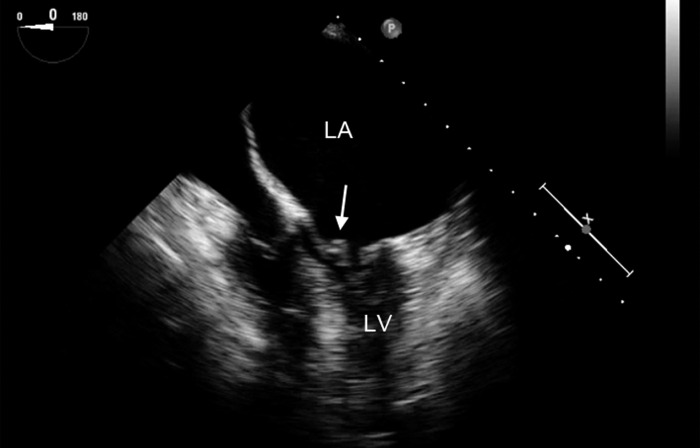 Figure 2.