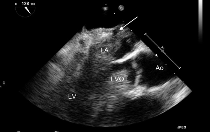 Figure 13.