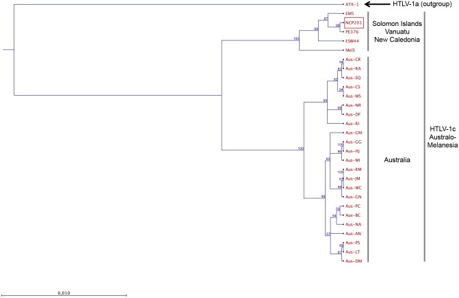 Fig 3