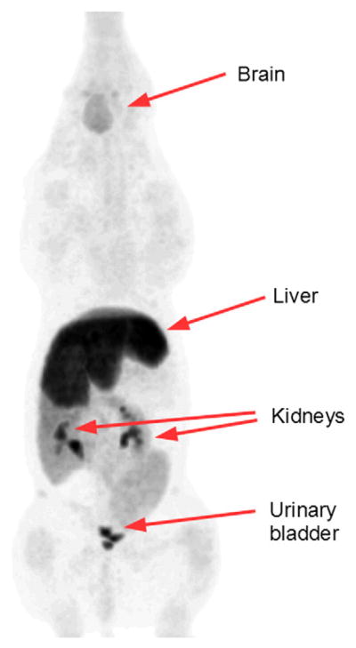 Fig. 2