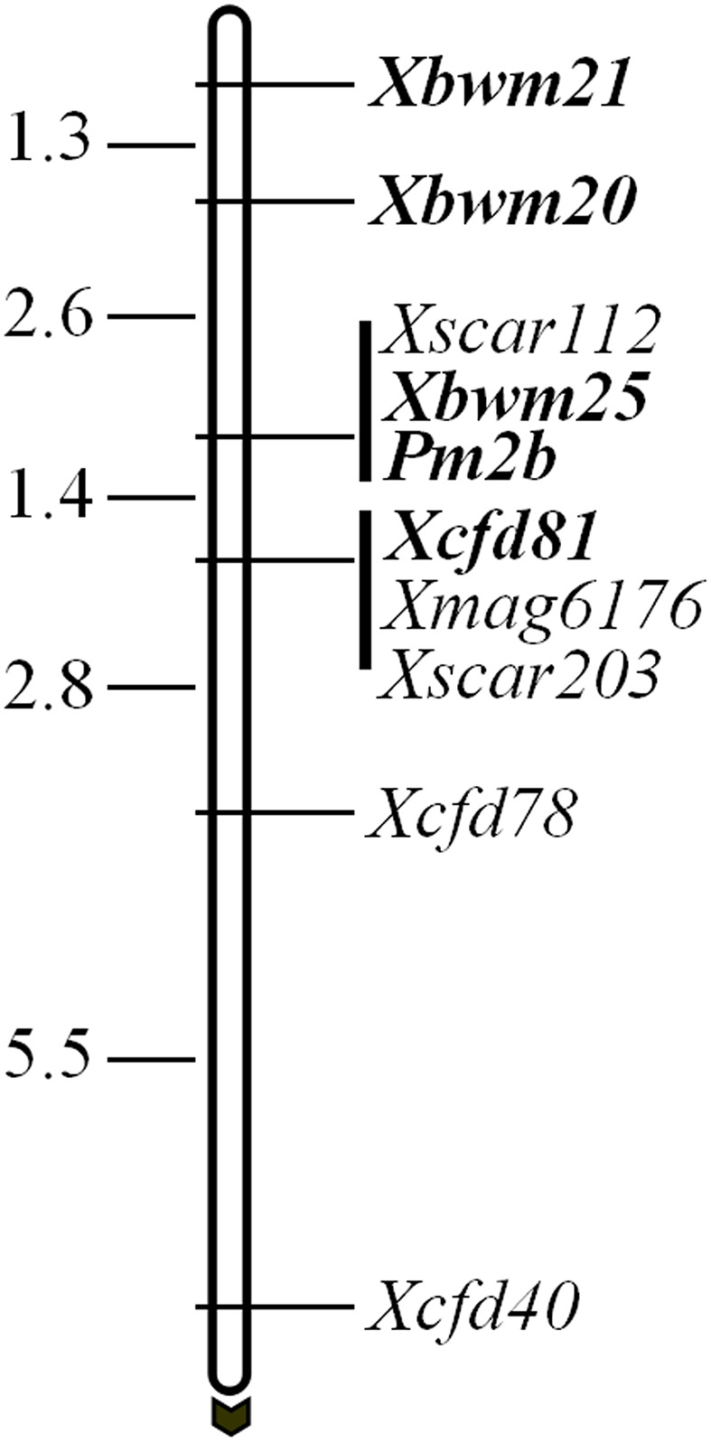 FIGURE 1