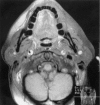 <i>Figure 1</i>