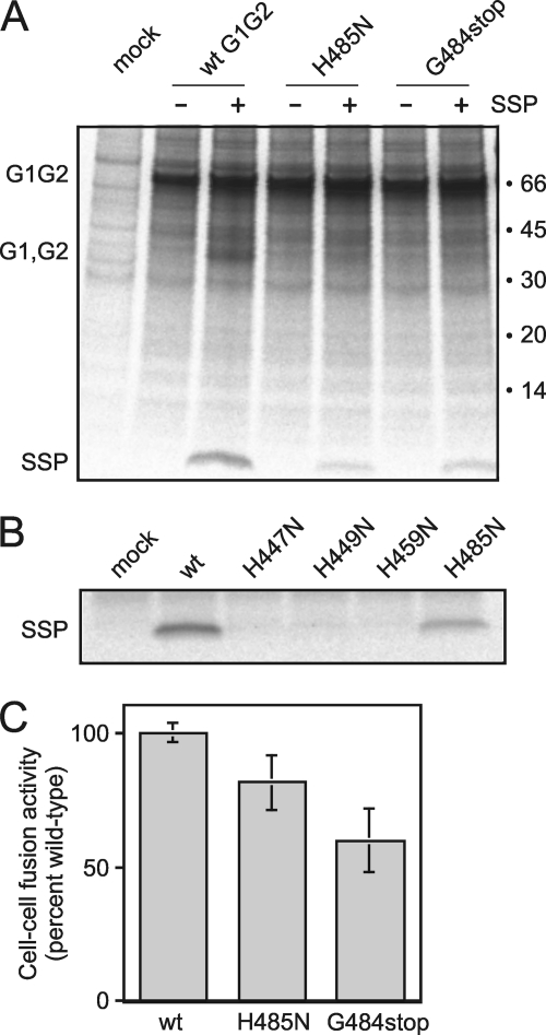 FIGURE 4.