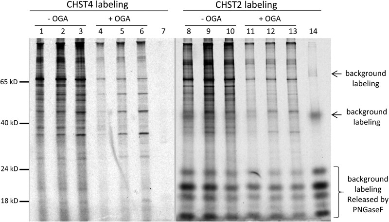 Fig. 7.