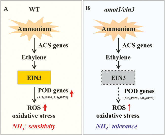 Fig. 9.