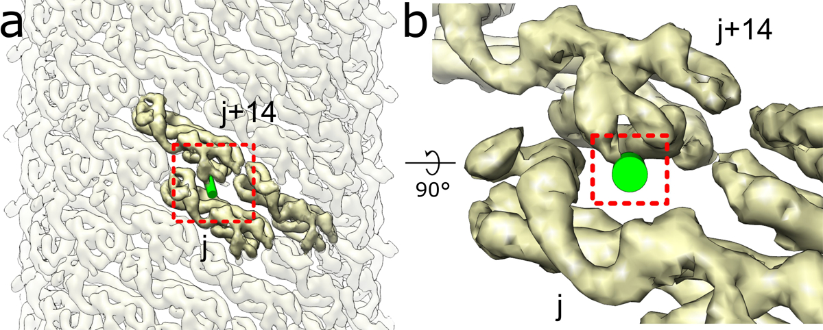 Extended Data Fig. 7