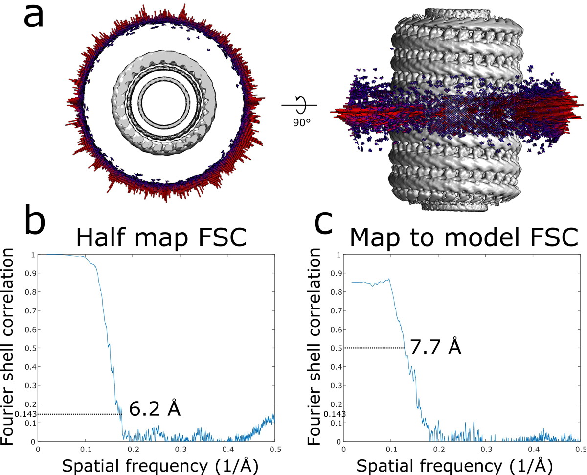 Extended Data Fig. 1