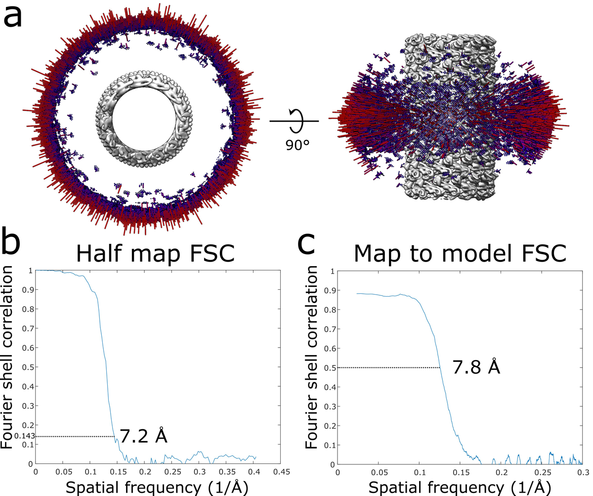 Extended Data Fig. 6