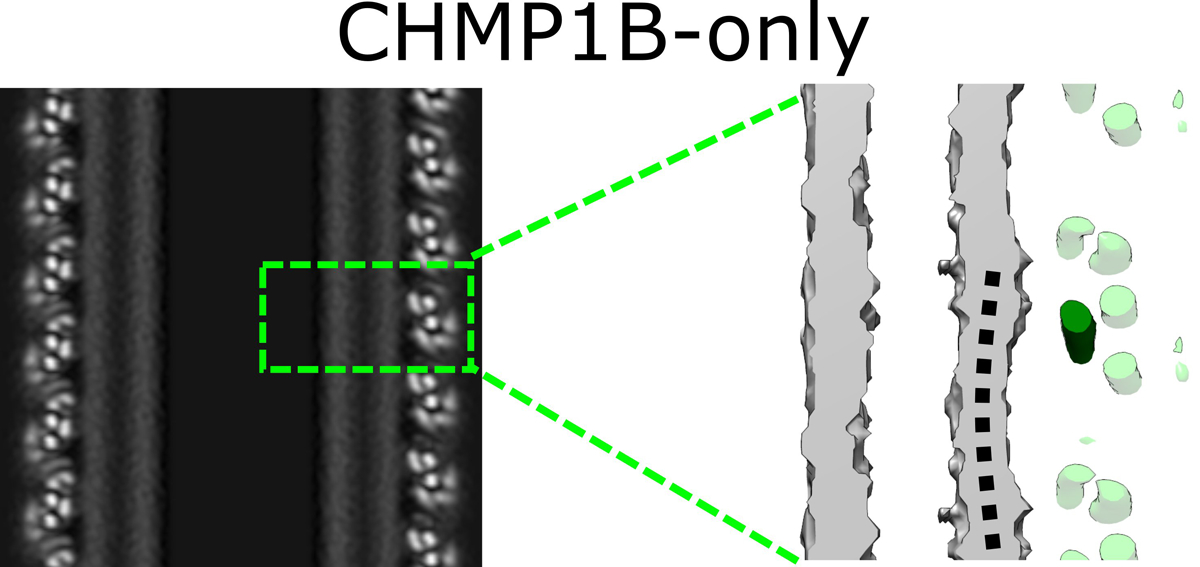 Extended Data Fig. 8