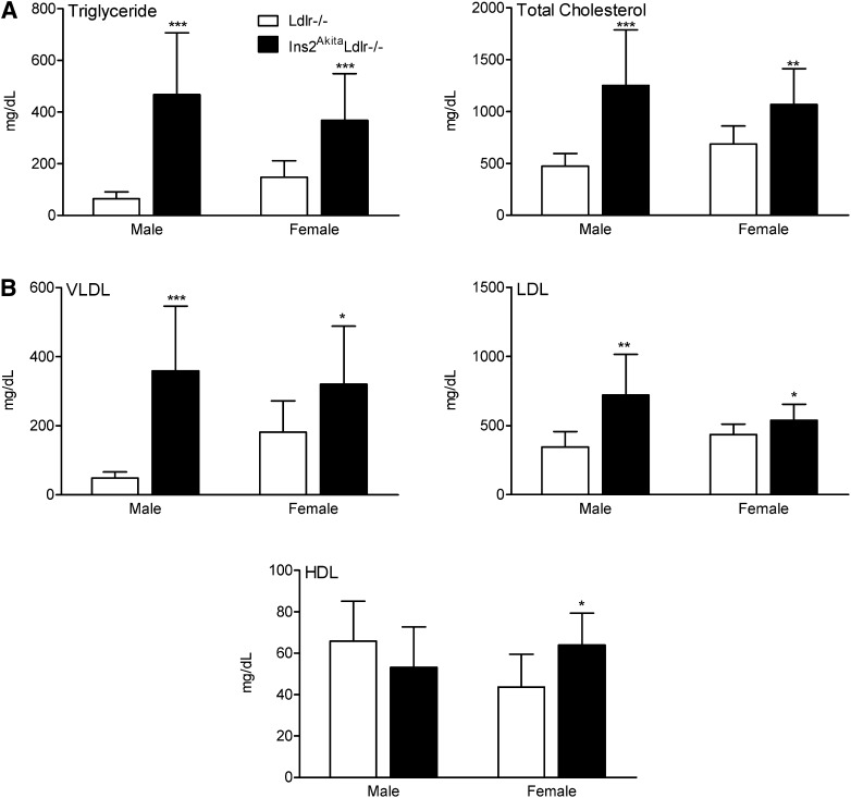 Fig.2.