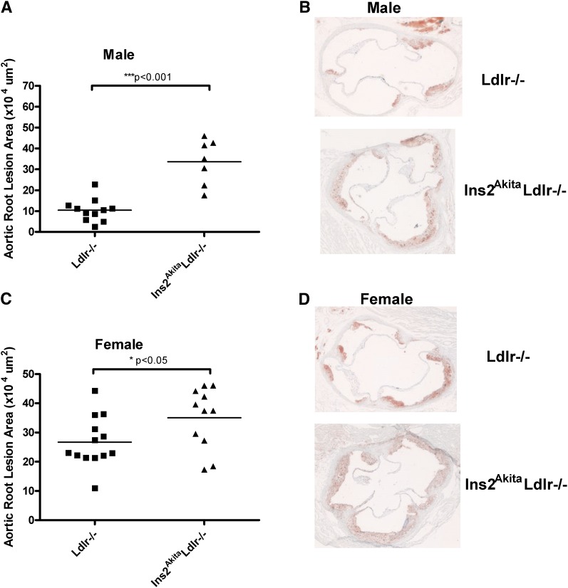 Fig.3.