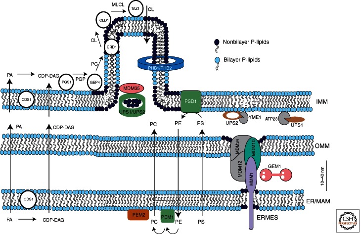 Figure 3.