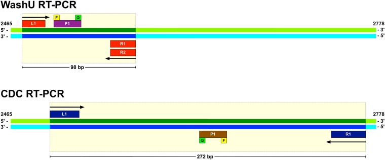 FIG 1