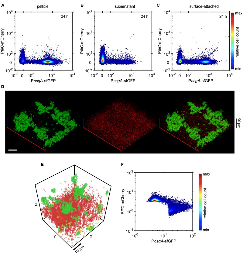 FIGURE 4