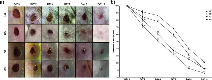 Fig. 9