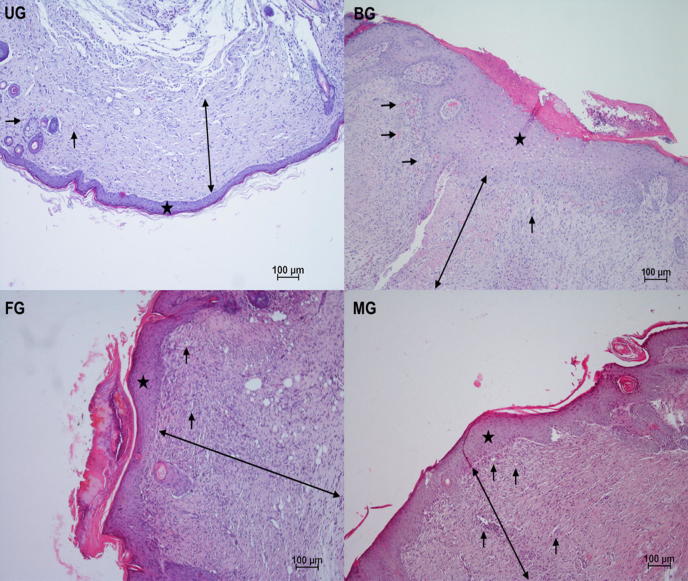 Fig. 10