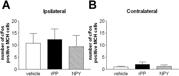 Fig. 10.