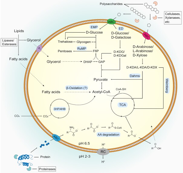 Figure 14.