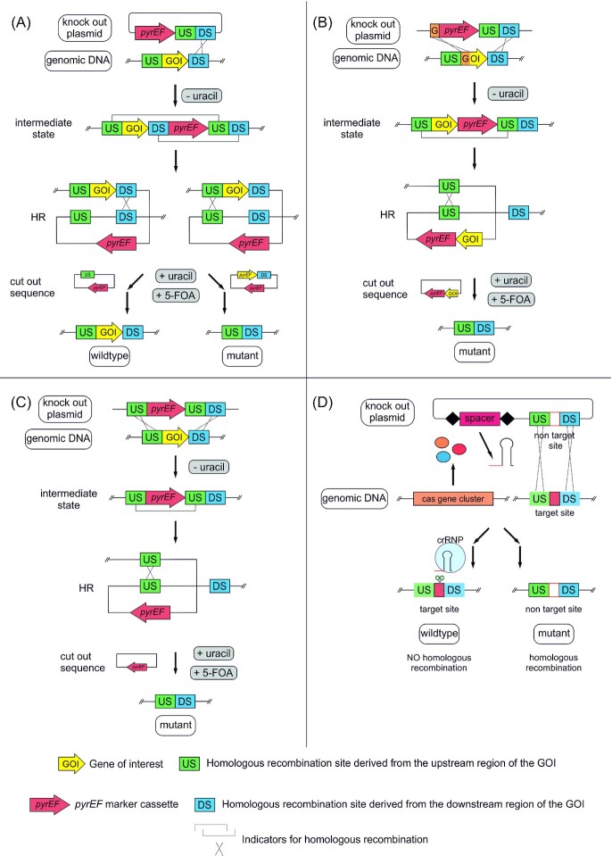 Figure 17.