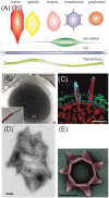 Figure 3.